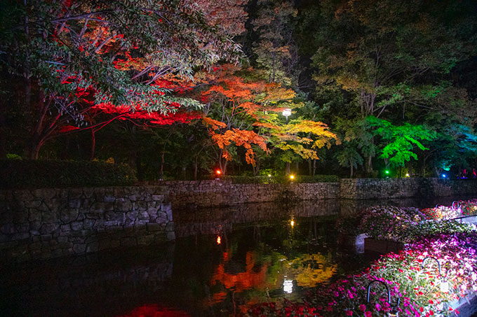 『花と光のムーブメント』が都立府中の森公園で開催　鮮やかなサンパチェンスと虹色カラーのライトアップで幻想的な世界を演出