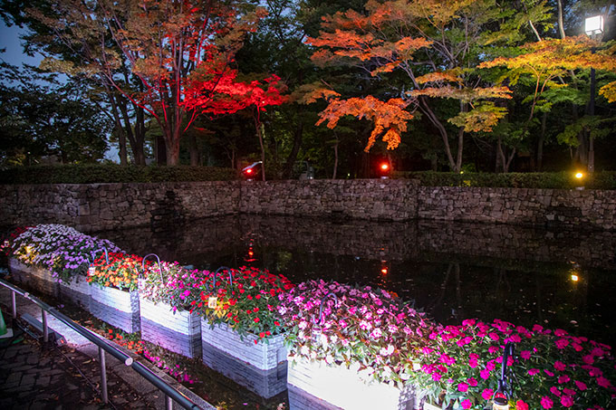 『花と光のムーブメント』が都立府中の森公園で開催　鮮やかなサンパチェンスと虹色カラーのライトアップで幻想的な世界を演出