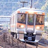 313系電車・普通列車、東海道本線・用宗～安倍川間