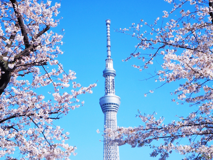 東京スカイツリーは、なぜ「高さ634メートル」なの？
