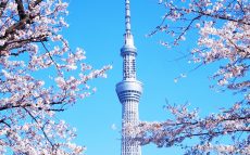 東京スカイツリーは、なぜ「高さ634メートル」なの？