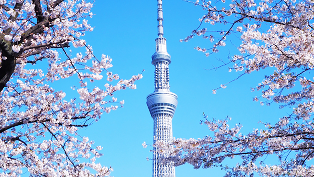 東京スカイツリーは、なぜ「高さ634メートル」なの？ – ニッポン放送