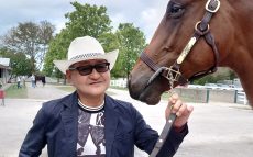 勝つ馬の見分け方　日本を代表する調教師・矢作芳人が語る