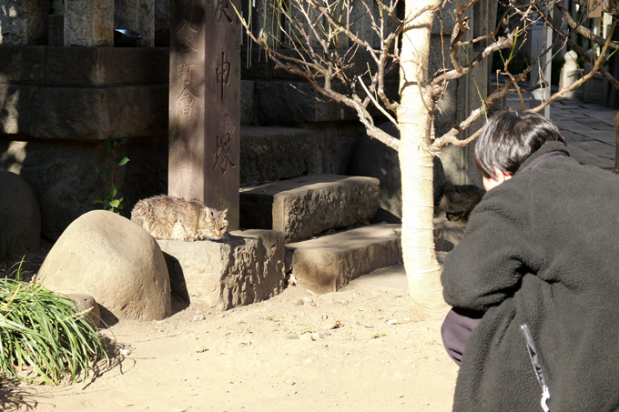 平安時代のインフルエンサー！？　寅さんも参拝した小野照崎神社にてランパンプスが合格祈願！