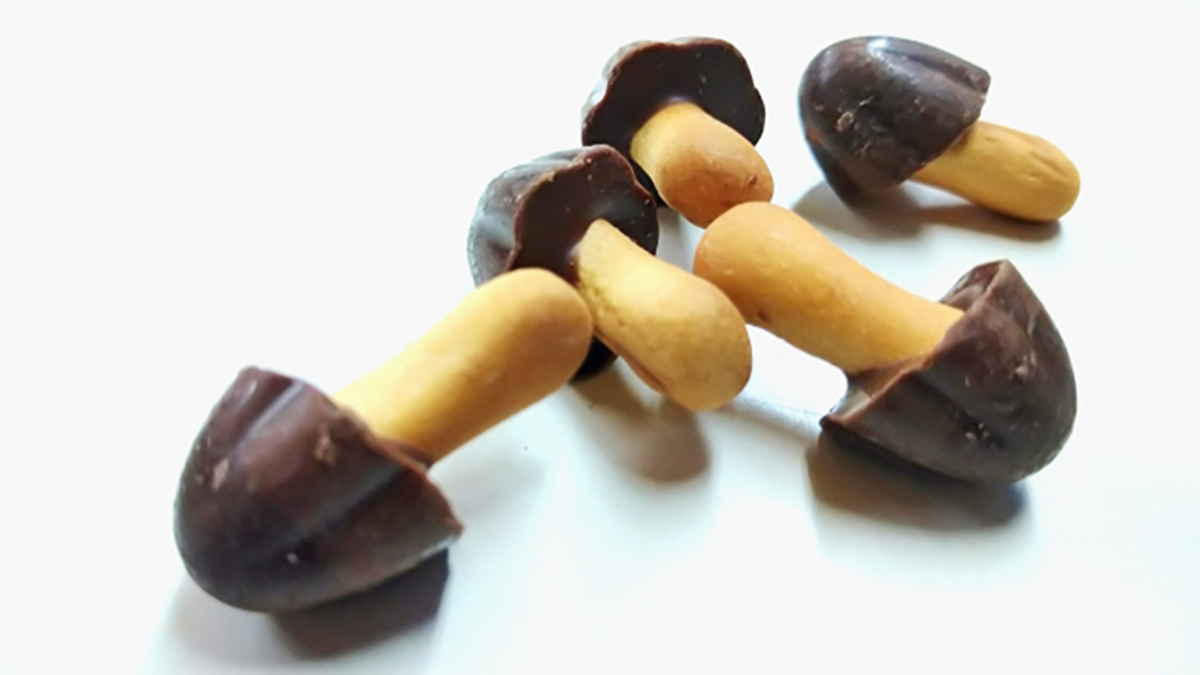 明治製菓」形がよく似た「アポロチョコ」と「きのこの山」は親子