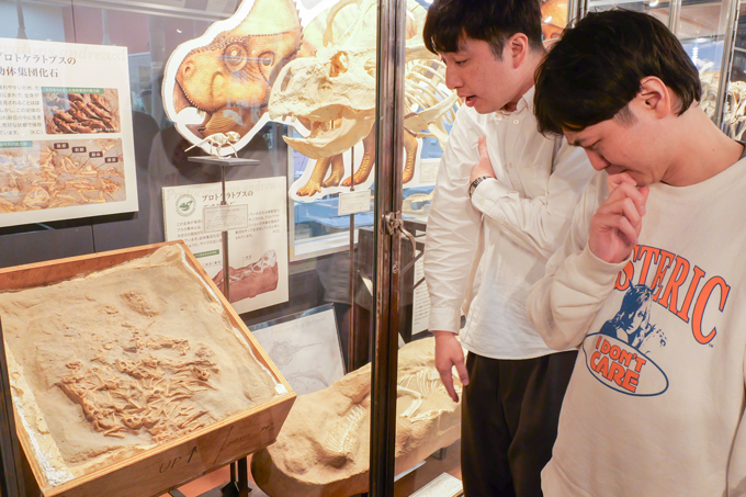 大学内に無料で入れる恐竜博物館！？　岡山理科大でランパンプスが化石クリーニングの体験学習！