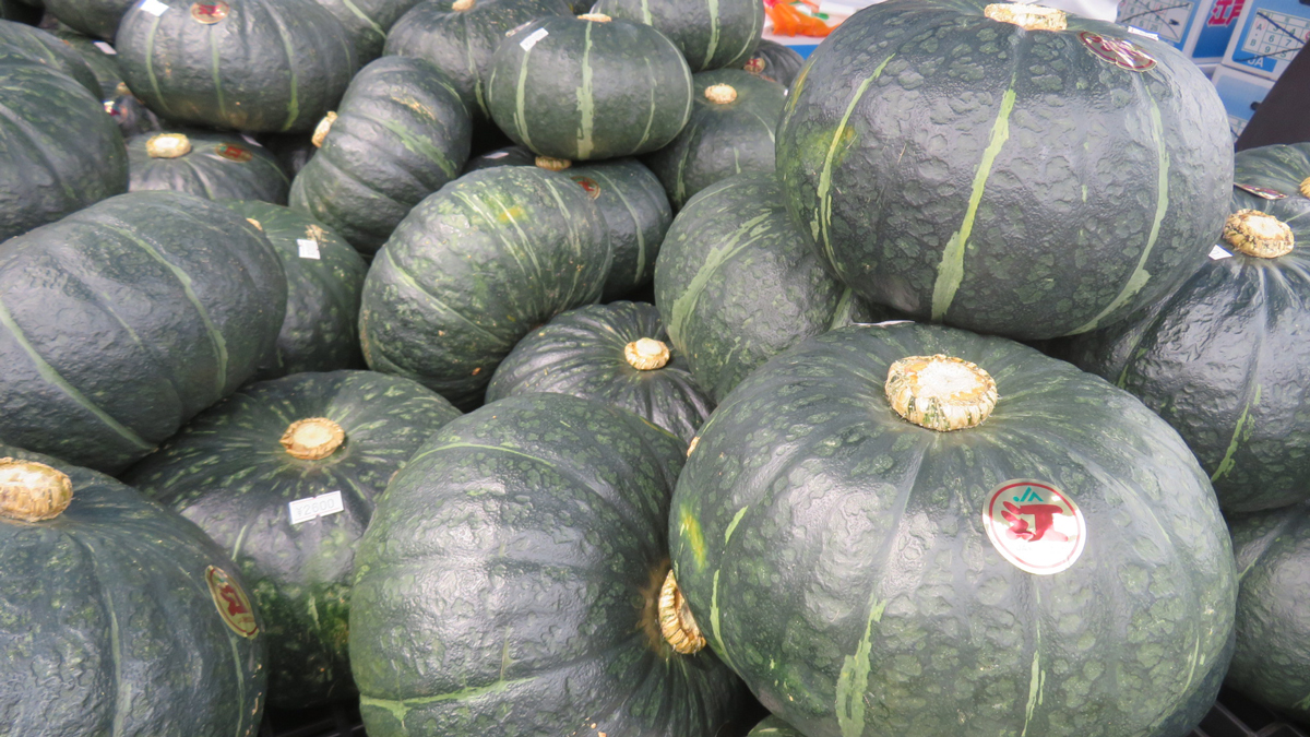 東京でも限られた所しか出回らない「江戸崎かぼちゃ」 – ニッポン放送