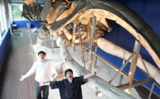 環境問題に取り組み、イルカを守る！　東京海洋大学の学生にランパンプスがインタビュー！