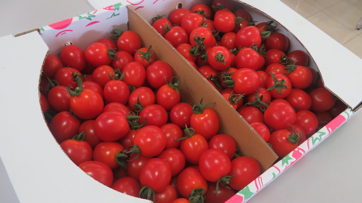 1ff285c85b61607e8c94b1594e9a2b