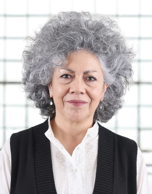 ドリス･サルセド　Doris Salcedo　(C) The Japan Art Association / The Sankei Shimbun