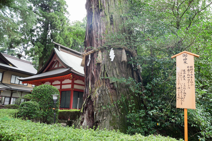 東日本最古の神社！？　日本三大神宮の1つ、千葉県香取神宮にてランパンプスが合格祈願！