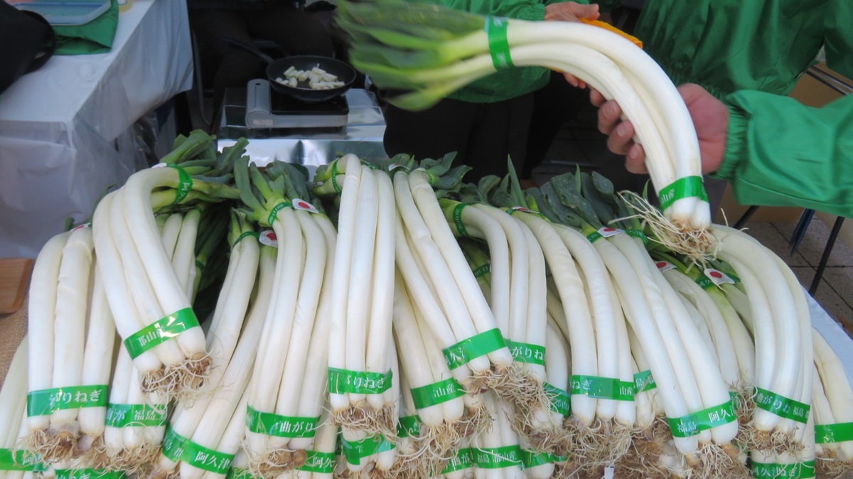 水戸で「全国ねぎサミット」開催、全国から23産地が集う – ニッポン