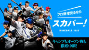 プロ野球12球団セット スカパー！の「プロ野球セット」ならセ・パ12球団全試合生中継で野球を
