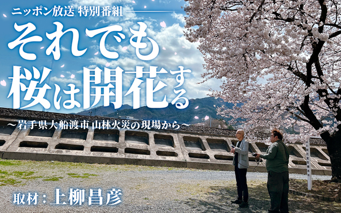 上柳昌彦が長年取材する大船渡で山林火災を取材 『それでも桜は開花する～岩手県大船渡市 山林火災の現場から～』