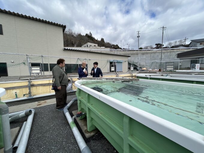 あわびの養殖所を取材