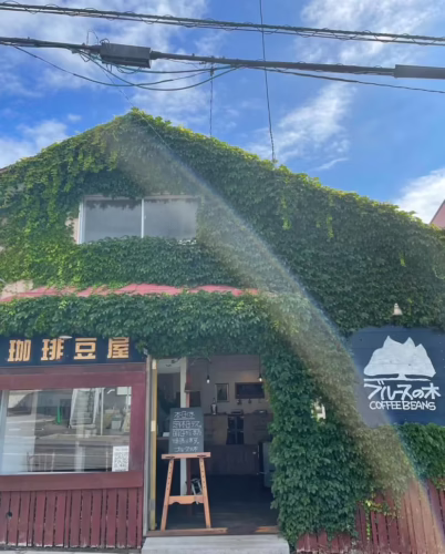 ツタに覆われた「ブルースの木」(写真提供:ブルースの木)