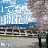 上柳昌彦が長年取材する大船渡で山林火災を取材 『それでも桜は開花する～岩手県大船渡市 山林火災の現場から～』