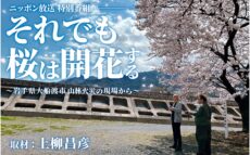 上柳昌彦が長年取材する大船渡で山林火災を取材 『それでも桜は開花する～岩手県大船渡市 山林火災の現場から～』