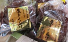 千葉で国産の「きくらげ狩り」を体験