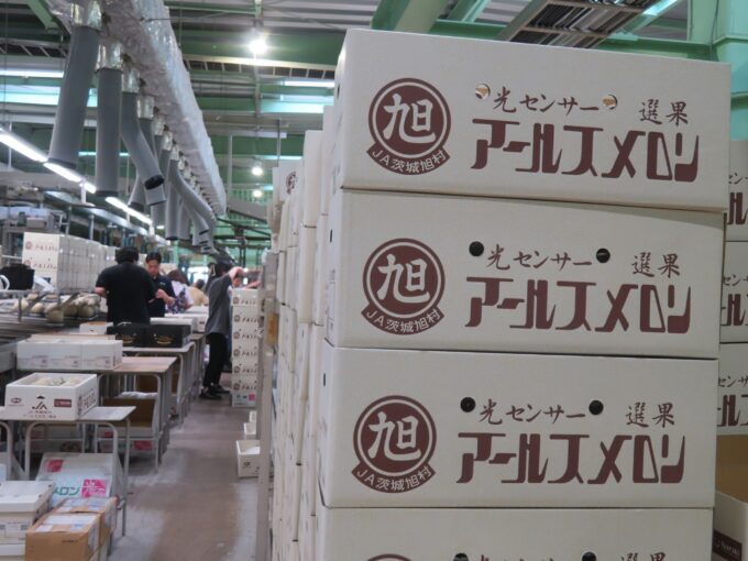 次々と箱詰めされていく
