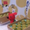 千葉なし出陣式　県知事が大田市場でPR