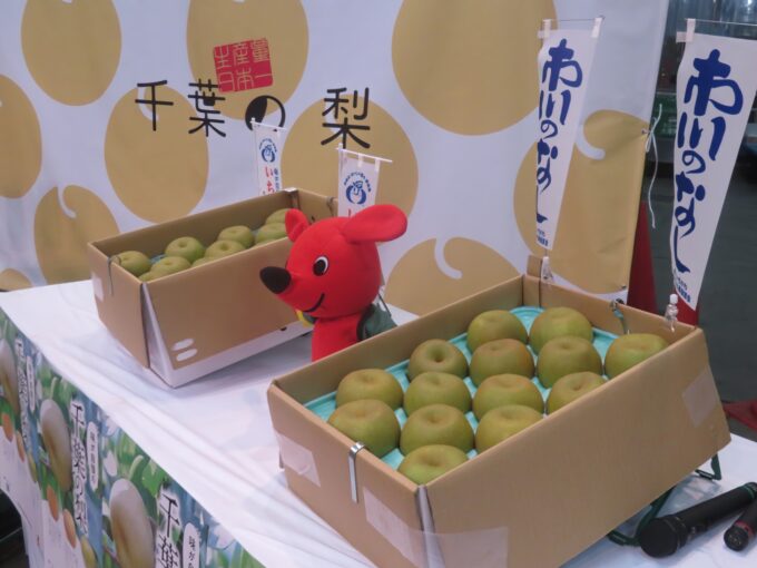 千葉の梨