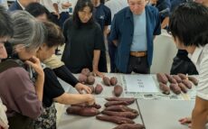茨城県鉾田市で甘藷目揃い会開催