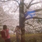 (C)2025「秒速5センチメートル」製作委員会