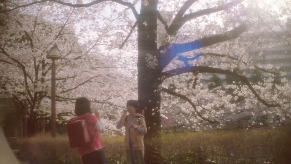 『秒速5センチメートル』松村北斗×高畑充希、新海誠監督の不朽の名作を実写映画化
