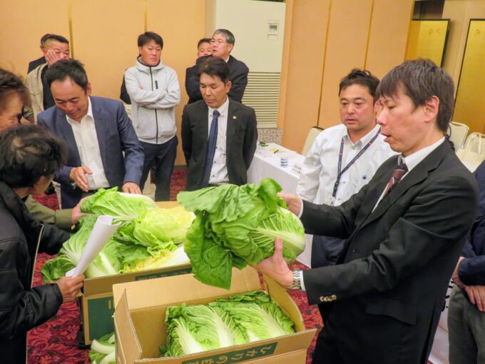 白菜の大きさなどを確認し合う様子