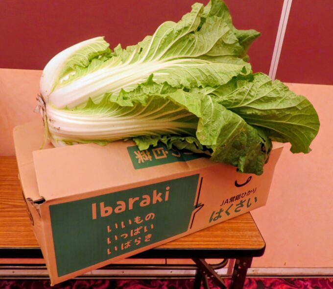 目揃え会に出された白菜