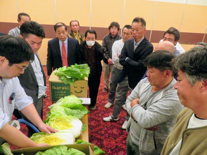 白菜を切って中の様子を見る