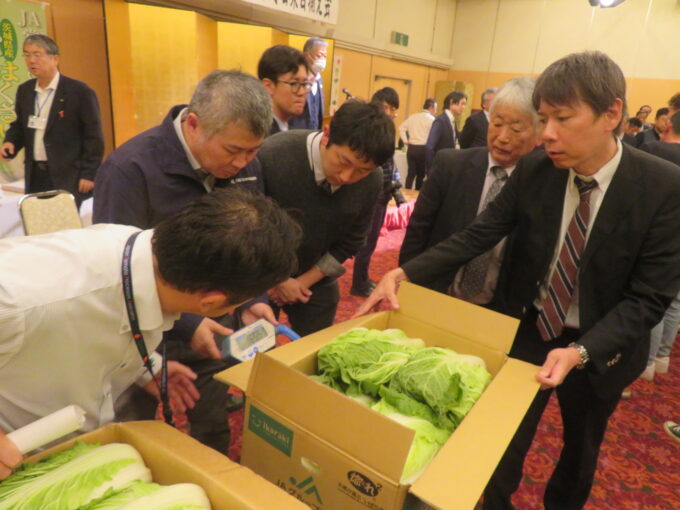 白菜の重量等を調べる様子