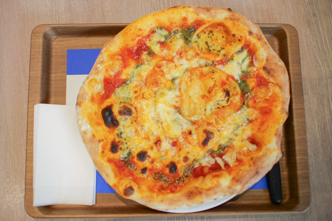 ソーラーカーでオーストラリアを縦断！？　日本で最大の学部数を誇る、東海大学にてランパンプスが徹底取材！