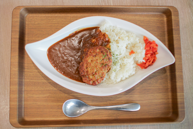 ソーラーカーでオーストラリアを縦断！？　日本で最大の学部数を誇る、東海大学にてランパンプスが徹底取材！