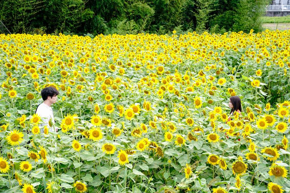 『てっぺんの向こうにあなたがいる』吉永小百合最新作、自身初の登山家役に挑むの写真