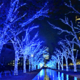 「青の洞窟 SHIBUYA」にて