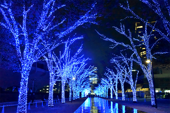 多部未華子、青に染まったケヤキ並木にうっとり　「青の洞窟 SHIBUYA」イルミネーション点灯式に出席の写真