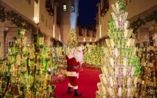 飲んで、見て、知って……1日中ワインを楽しめる「リゾナーレ八ヶ岳」 1万2千本のワインボトルが彩る「ワインリゾートクリスマス2025」開催