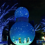 「青の洞窟 SHIBUYA」にて