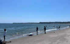 企業版ふるさと納税がつなぐ、未来のビーチへ―「MIURA FUN BEACH 三浦海岸」再始動と共創の広がり―