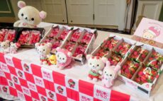 “とちぎのいちご大使”コリラックマが「いちご王国・栃木」をアピール