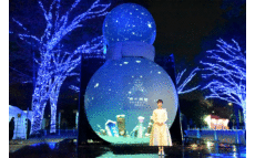 多部未華子、青に染まったケヤキ並木にうっとり 「青の洞窟 SHIBUYA」イルミネーション点灯式に出席