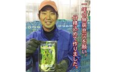 「春の七草」を一番良い状態で栽培　三浦半島から「春の七草」120万パックを全国へ