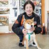 行方不明となったお店の看板犬を捜索「皆さまの温かい思いで家に戻れました」