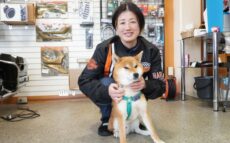 行方不明となったお店の看板犬を捜索「皆さまの温かい思いで家に戻れました」