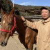 引退した競走馬が過ごす「養老牧場」　人と馬が支え合いながら生活する牧場の形