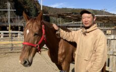 引退した競走馬が過ごす「養老牧場」　人と馬が支え合いながら生活する牧場の形