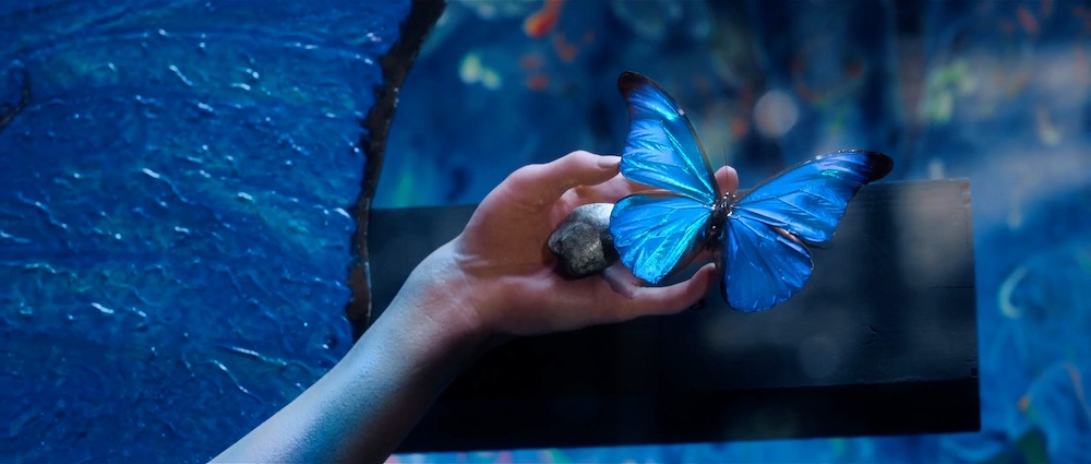 『人間標本』西島秀俊×市川染五郎、湊かなえの傑作をドラマ化の写真