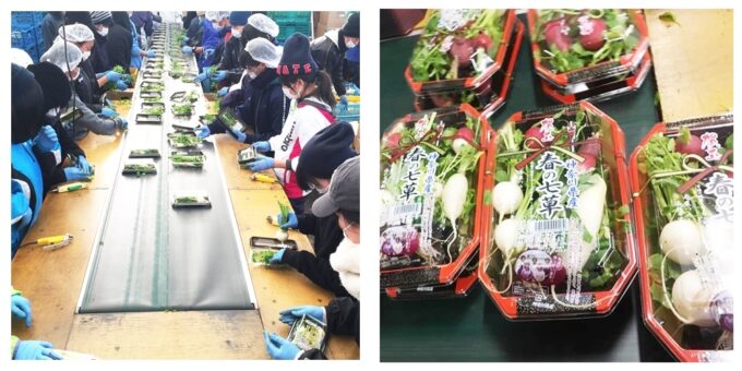 首都圏・関東を中心に、東北、北海道へも出荷　写真提供：三浦はねっ娘会（岩崎ファーム）